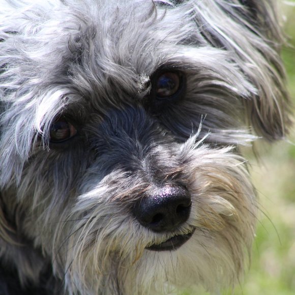 Share show - Picture 12 of 14